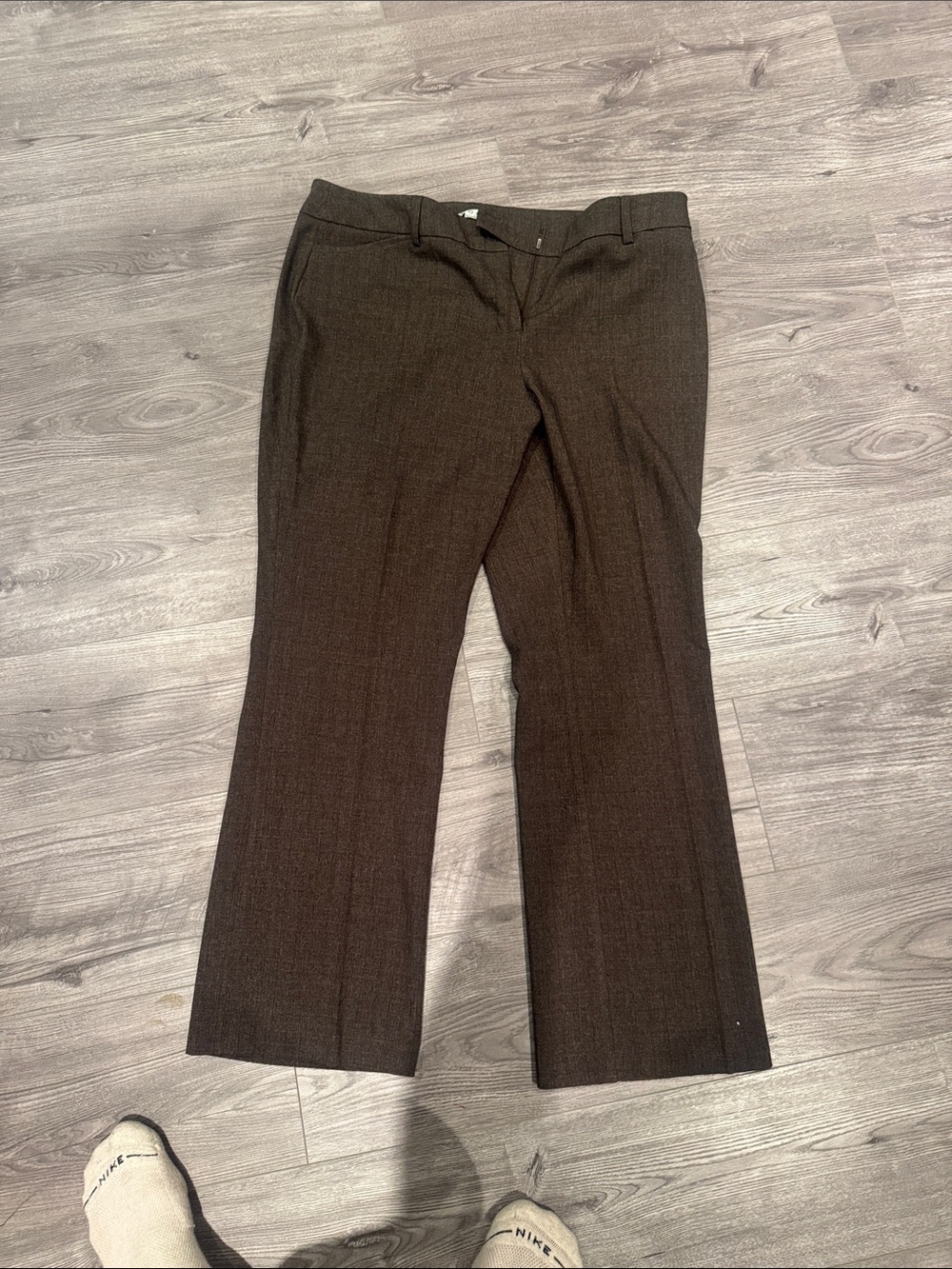 Brown women's dress pants